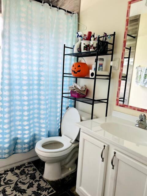 Room In Citrus Park And Carollwood, Close To The Airport & Downtown Тампа Екстериор снимка