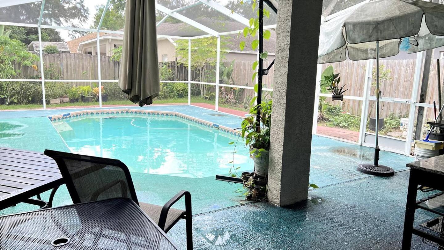 Room In Citrus Park And Carollwood, Close To The Airport & Downtown Тампа Екстериор снимка